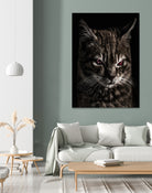 Creepy Kitten Portrait Photo Illustration by Daniel Ferreira-Leites on GIANT ART - black mixed media