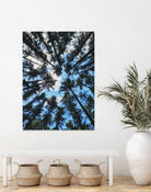 Look Up by Robin Dickinson on GIANT ART - blue photo manipulation
