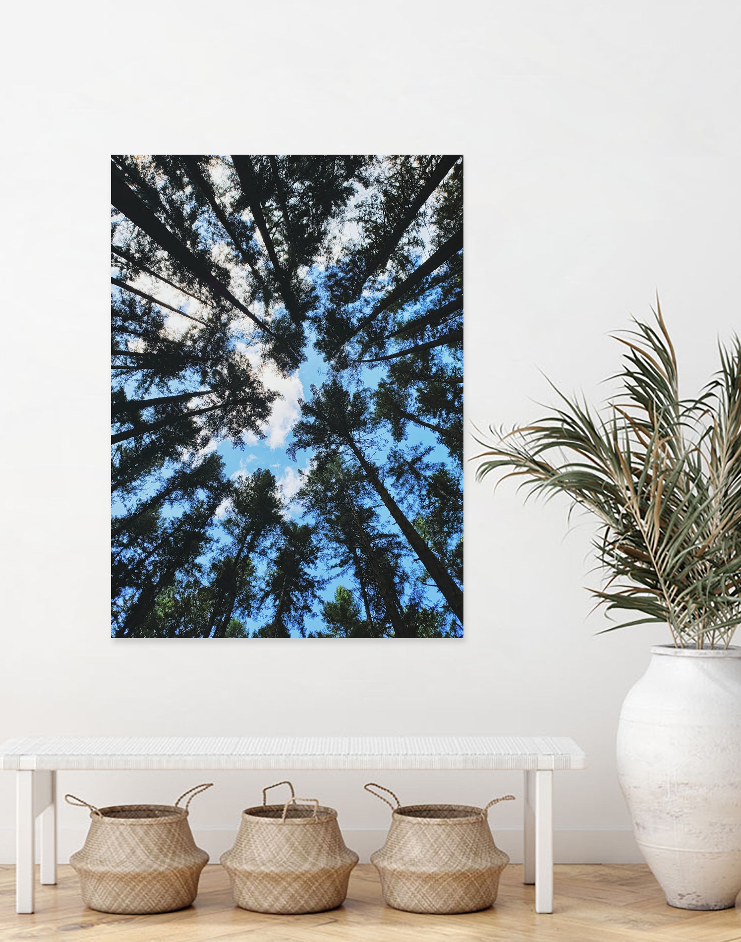 Look Up by Robin Dickinson on GIANT ART - blue photo manipulation