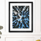 Look Up by Robin Dickinson on GIANT ART - blue photo manipulation
