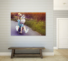 Road(eo) Trip ! by Caroline Sauvage on GIANT ART - orange photo manipulation