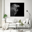 Lion in black and white by Lukas Holas on GIANT ART - black photo manipulation