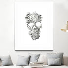 Simple Skull by Ali Gulec on GIANT ART - white digital drawing