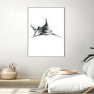 Shark III by Marcou Alexis on GIANT ART - digital drawing