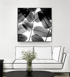 Experiments with Leaves by Tal Paz-Fridman on GIANT ART - gray photo illustration