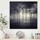 Staircrows by Sarolta Ban on GIANT ART - gray photo manipulation