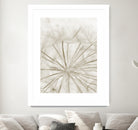 Dandelion Neutral Close-up by IOANNA PAPANIKOLAOU on GIANT ART - brown photo illustration