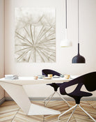 Dandelion Neutral Close-up by IOANNA PAPANIKOLAOU on GIANT ART - brown photo illustration