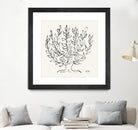 L'arbre Platane by Henri Matisse  on GIANT ART - museums