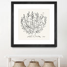 L'arbre Platane by Henri Matisse  on GIANT ART - museums