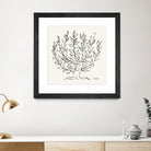 L'arbre Platane by Henri Matisse  on GIANT ART - museums