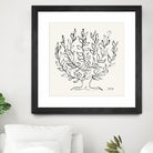 L'arbre Platane by Henri Matisse  on GIANT ART - museums