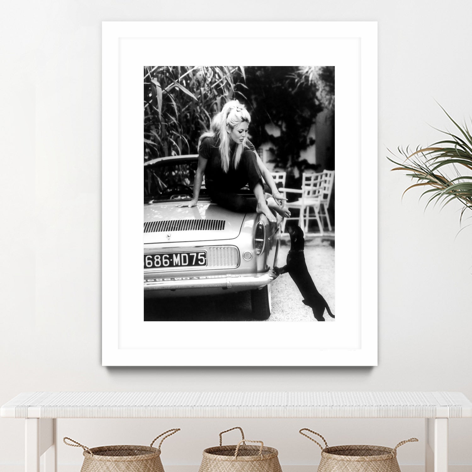 Brigitte Bardot  with her dog in St. Tropez, 1962 by M Studio on GIANT ART - black and white photographie bardot