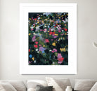 Secret Garden II by Maggie Sackmann on GIANT ART - abstract
