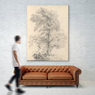 Tree Sketch by Wild Apple Portfolio on GIANT ART - abstract