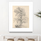 Tree Sketch by Wild Apple Portfolio on GIANT ART - abstract