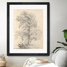 Tree Sketch by Wild Apple Portfolio on GIANT ART - abstract