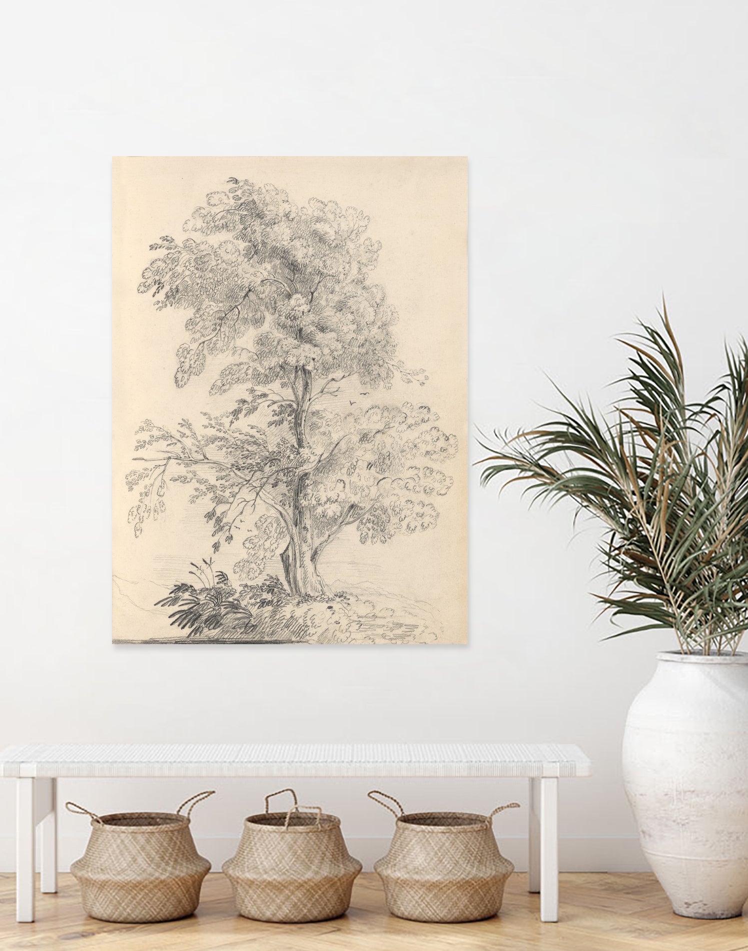 Tree Sketch by Wild Apple Portfolio on GIANT ART - abstract