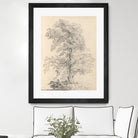 Tree Sketch by Wild Apple Portfolio on GIANT ART - abstract