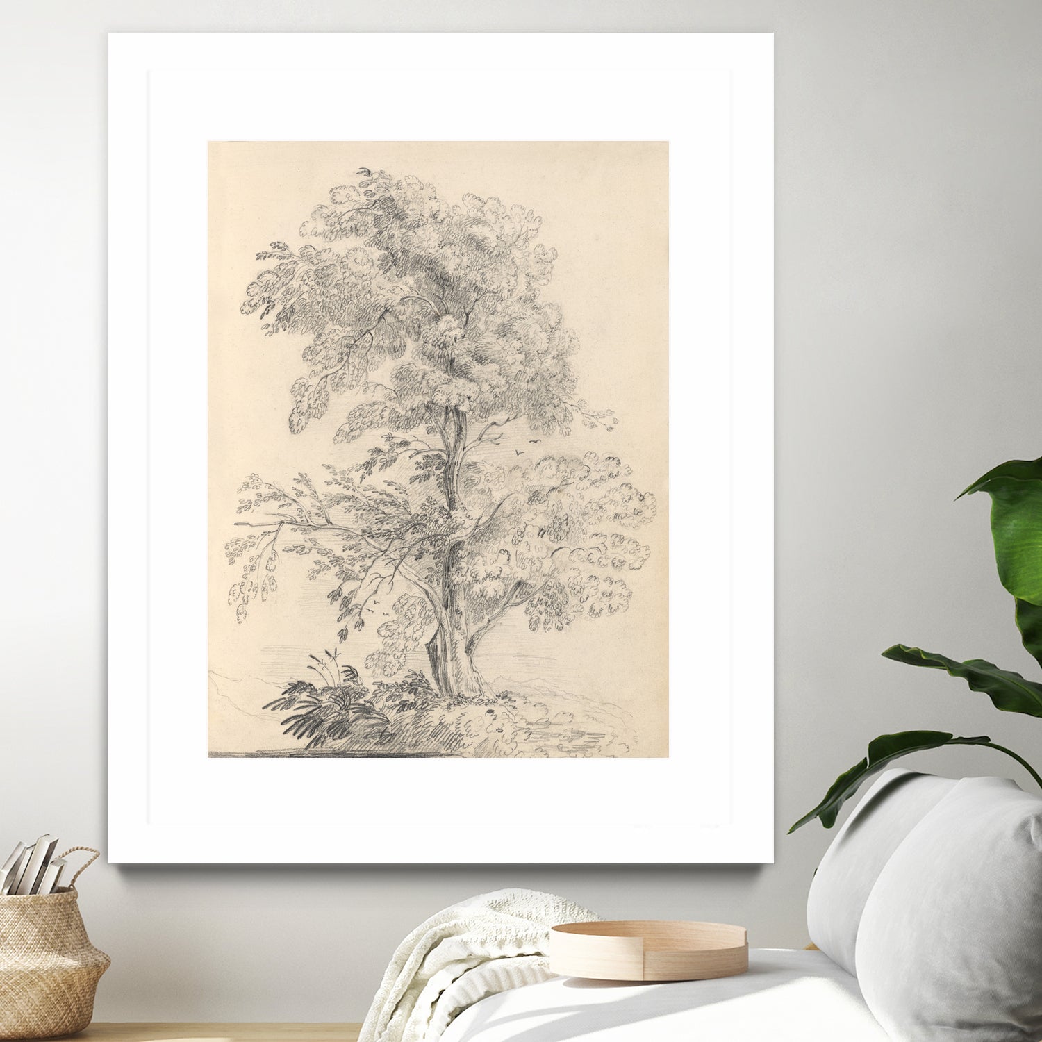 Tree Sketch by Wild Apple Portfolio on GIANT ART - abstract