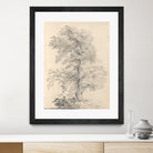 Tree Sketch by Wild Apple Portfolio on GIANT ART - abstract