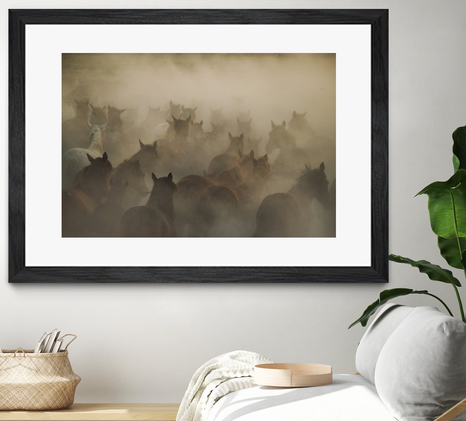 in dust by Huseyin on GIANT ART - photography horses