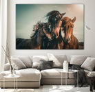 Family portrait by Marcus Hennen on GIANT ART - friendship animal friendship