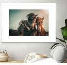 Family portrait by Marcus Hennen on GIANT ART - friendship animal friendship