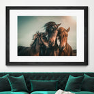 Family portrait by Marcus Hennen on GIANT ART - friendship animal friendship