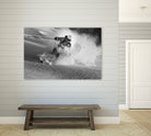 Go for it  by Sandi on GIANT ART - black and white  photography
