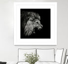 Roaring Lion #2 by Christian Meermann on GIANT ART - feline animal feline
