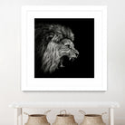 Roaring Lion #2 by Christian Meermann on GIANT ART - feline animal feline