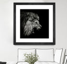 Roaring Lion #2 by Christian Meermann on GIANT ART - feline animal feline
