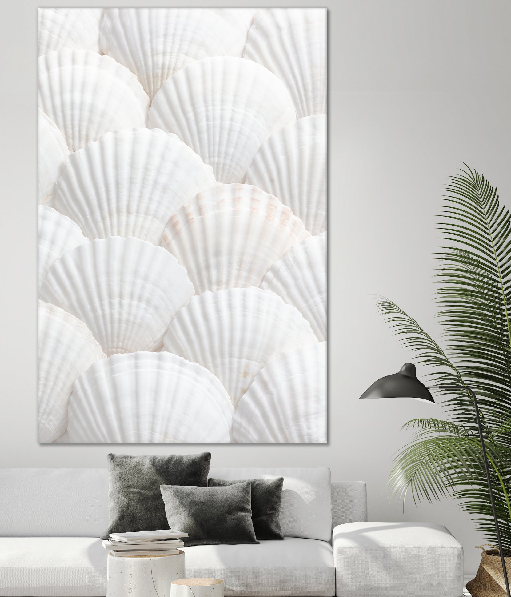 Shells_3 by Pictufy Studio III on GIANT ART - photography shells