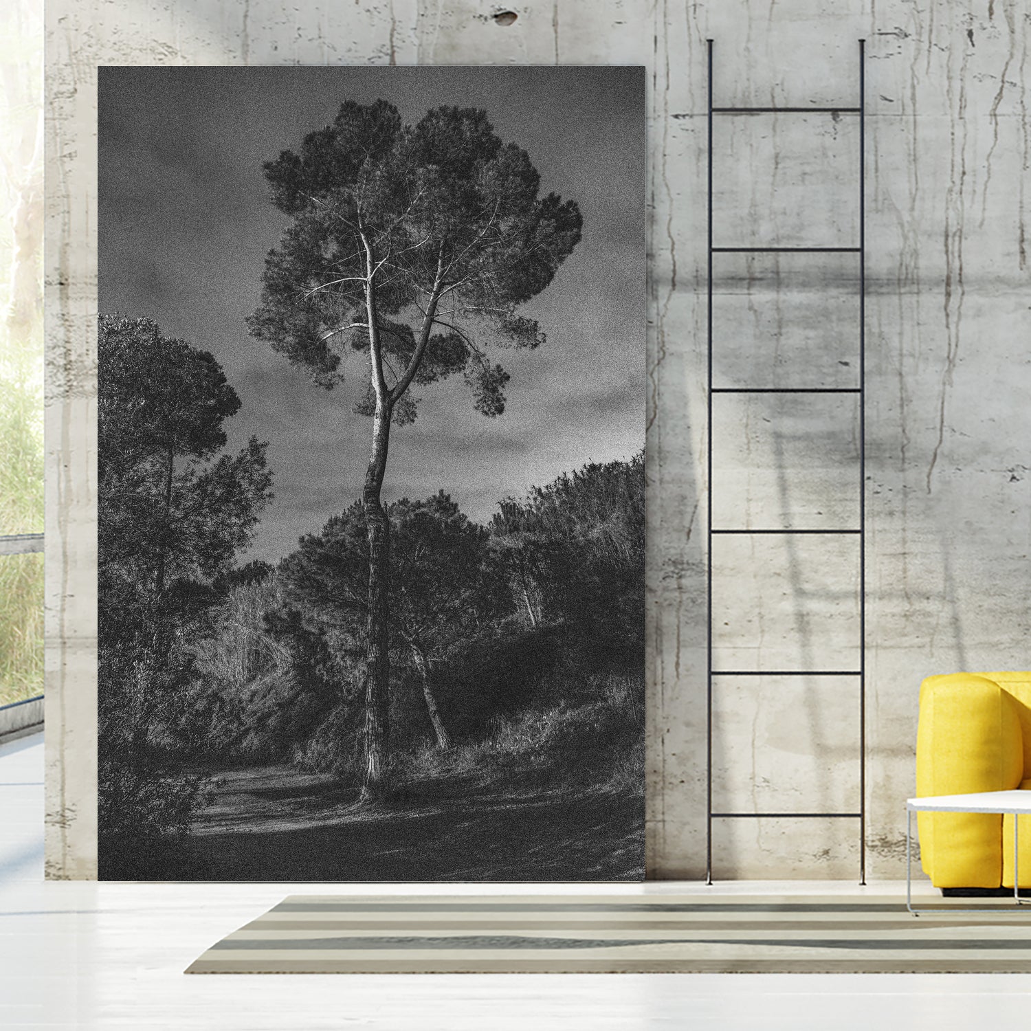 Arbores  by Pepa on GIANT ART - black botanical framed canvas