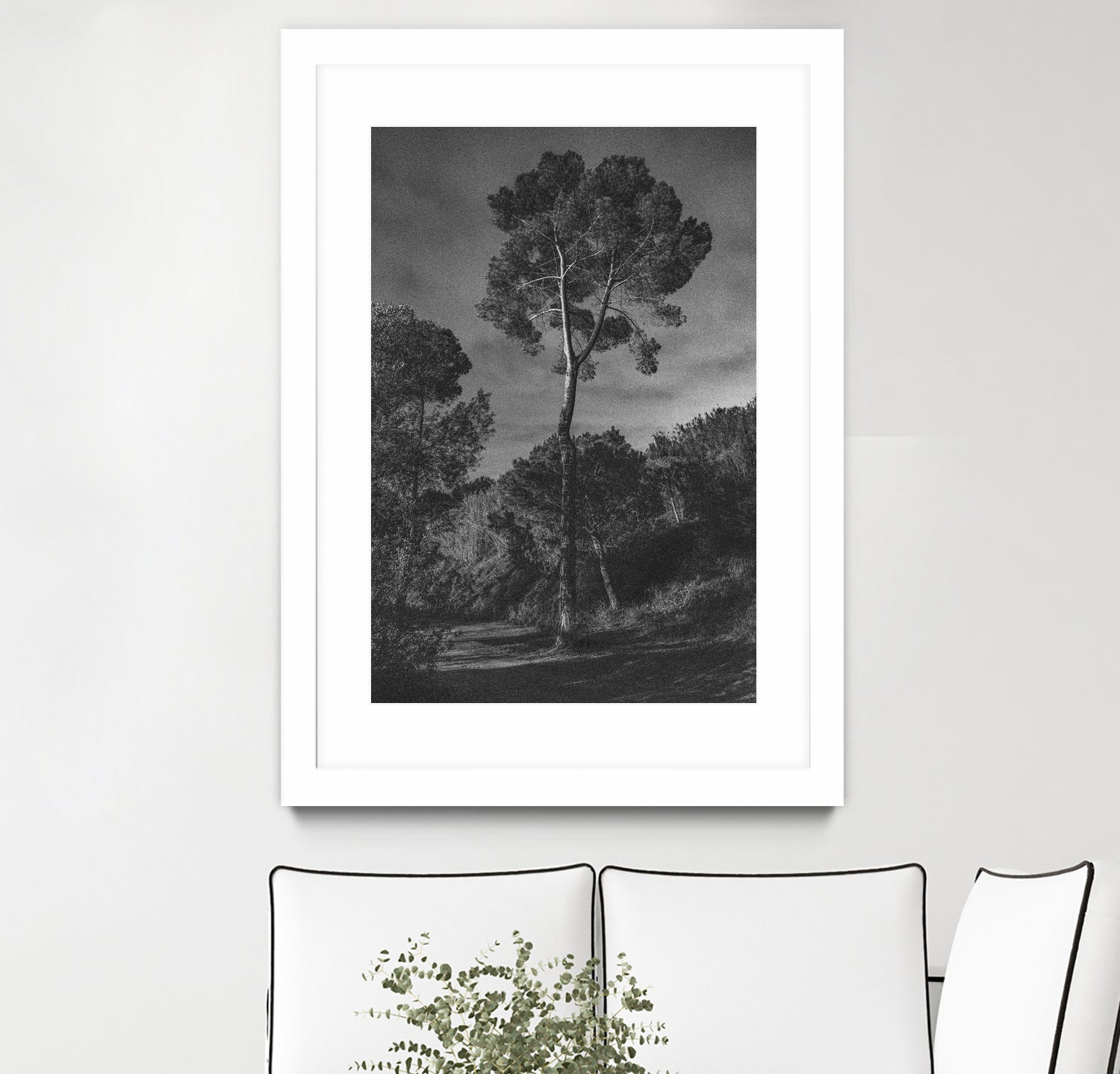 Arbores  by Pepa on GIANT ART - black botanical framed canvas