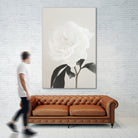 Peony 03 by Pictufy Studio III on GIANT ART - still life flower