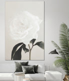 Peony 03 by Pictufy Studio III on GIANT ART - still life flower