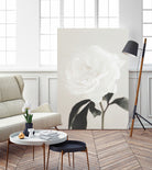 Peony 03 by Pictufy Studio III on GIANT ART - still life flower