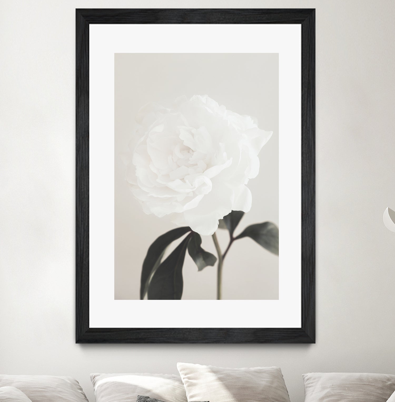 Peony 03 by Pictufy Studio III on GIANT ART - still life flower