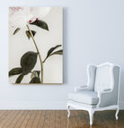Peony 09 by Pictufy on GIANT ART - still life flower