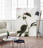 Peony 09 by Pictufy on GIANT ART - still life flower