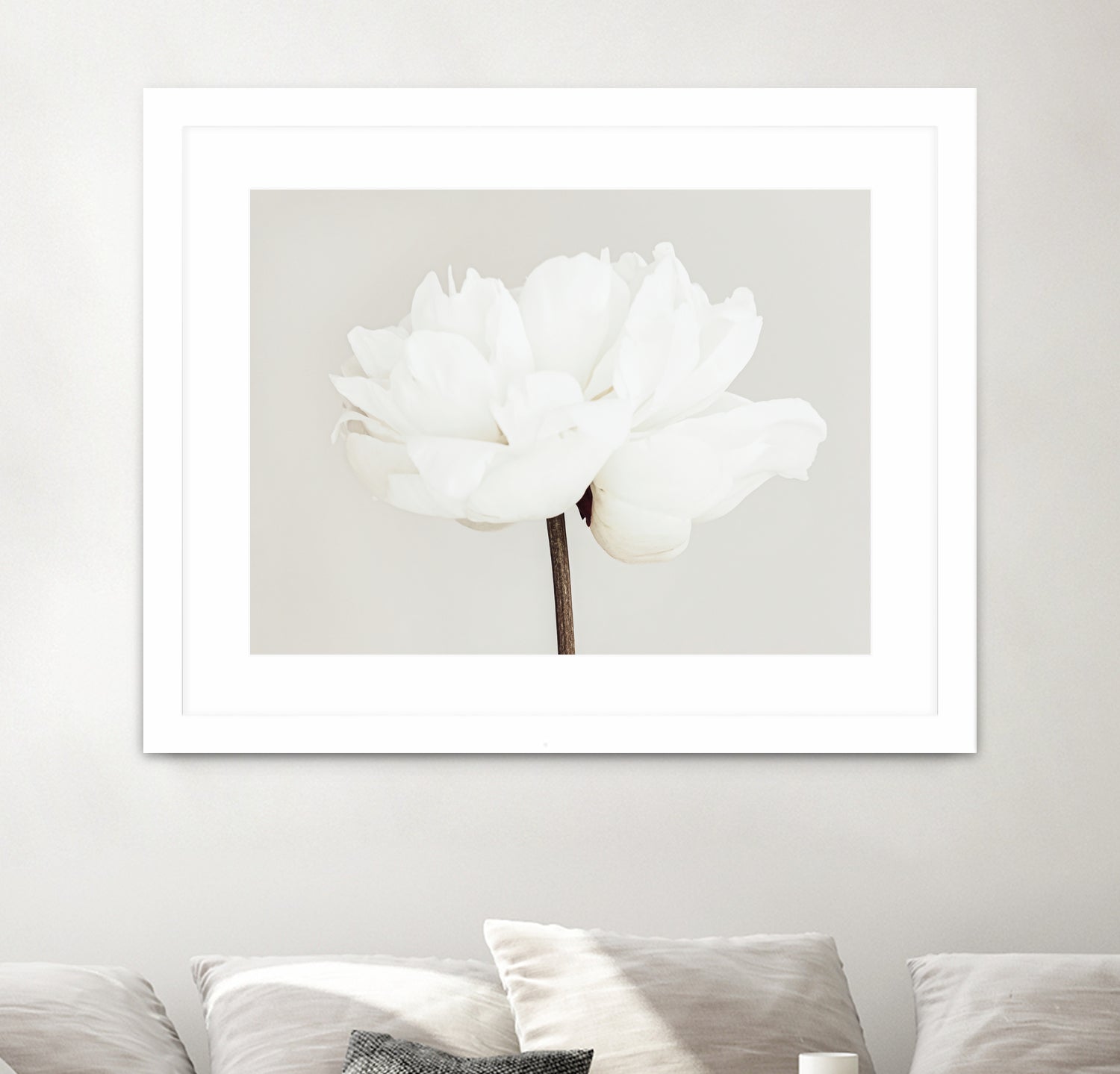 Peony 11 by Pictufy Studio III on GIANT ART - photography flower