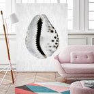 Spring Tide by Shot by Clint on GIANT ART - macro seashell art