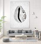 Spring Tide by Shot by Clint on GIANT ART - macro seashell art