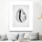 Spring Tide by Shot by Clint on GIANT ART - macro seashell art