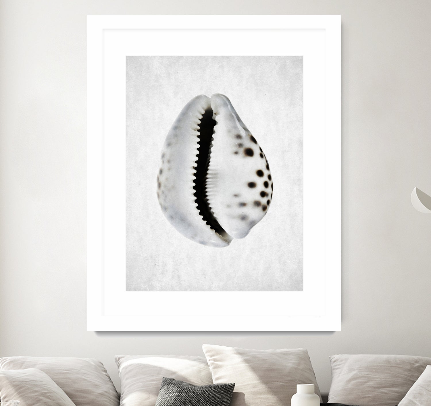 Spring Tide by Shot by Clint on GIANT ART - macro seashell art