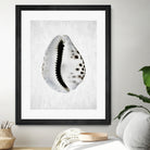 Spring Tide by Shot by Clint on GIANT ART - macro seashell art