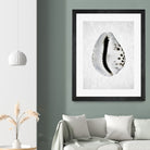 Spring Tide by Shot by Clint on GIANT ART - macro seashell art