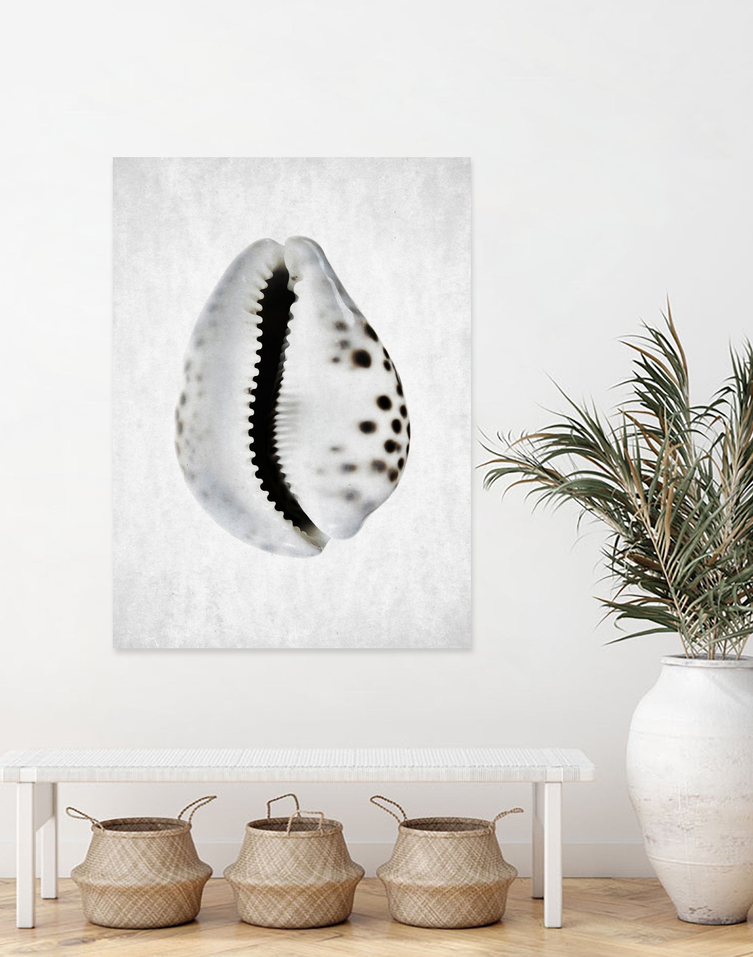 Spring Tide by Shot by Clint on GIANT ART - macro seashell art